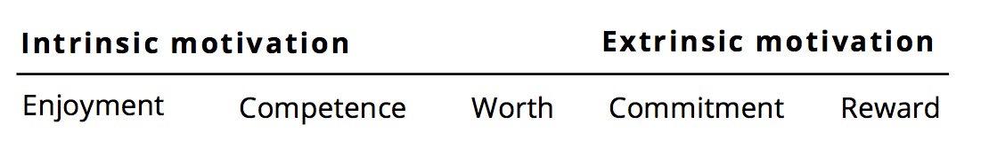 Intrinsic and extrinsic motivation